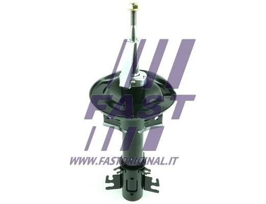 Amortizatorius FAST FT11317