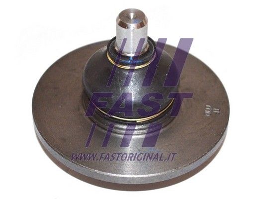 Ball Joint FAST FT17111