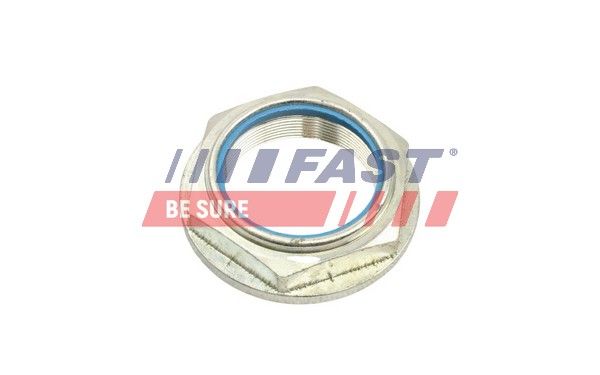 Nut, kingpin FAST FT26041