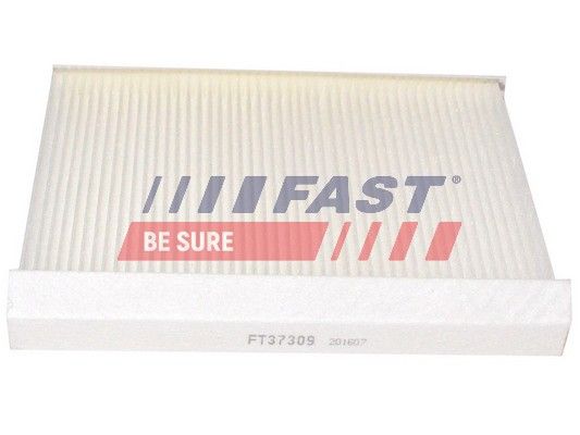 Filtras, salono oras FAST FT37309