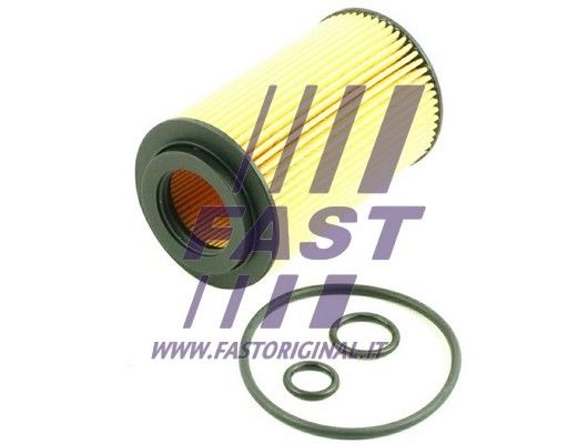 Oil Filter FAST FT38013