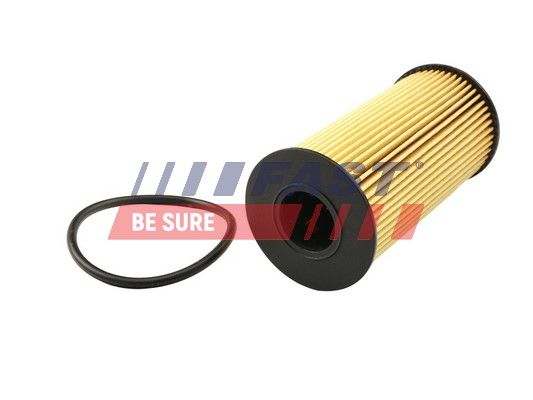 Oil Filter FAST FT38031