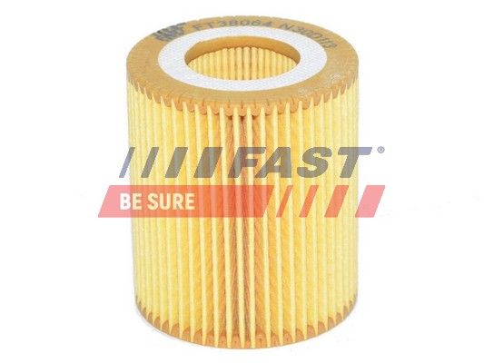 Oil Filter FAST FT38064