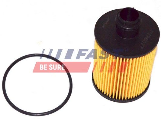 Oil Filter FAST FT38077