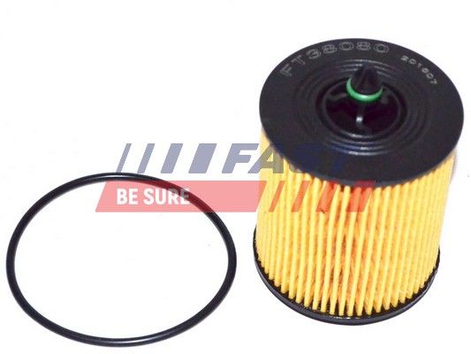 Oil Filter FAST FT38080