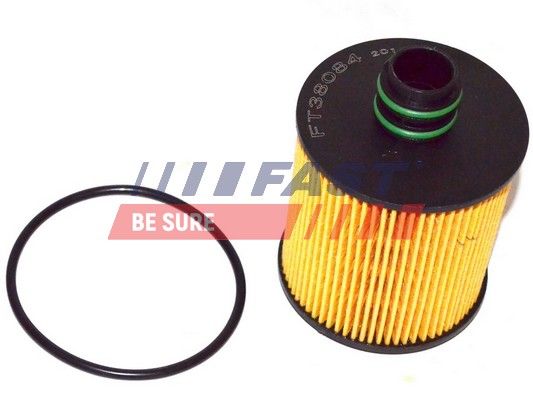 Oil Filter FAST FT38084