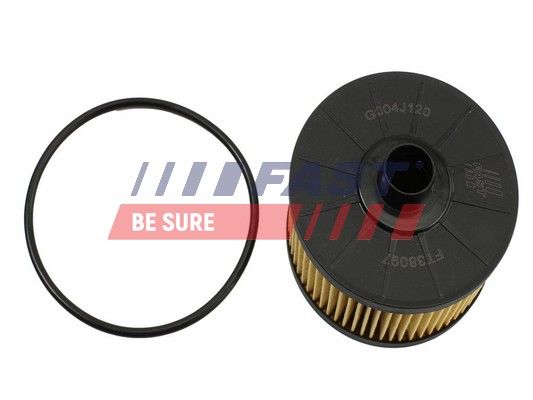 Oil Filter FAST FT38097