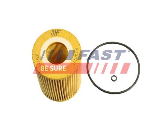 Oil Filter FAST FT38101