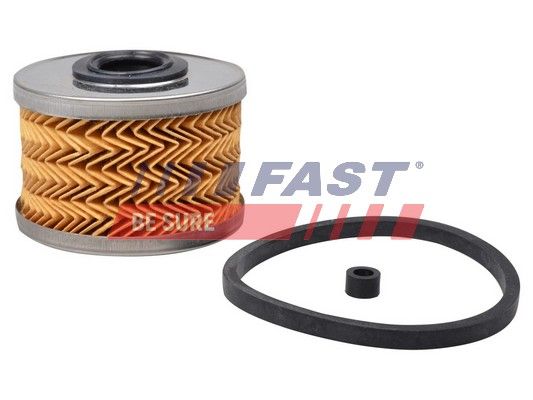 Fuel Filter FAST FT39070