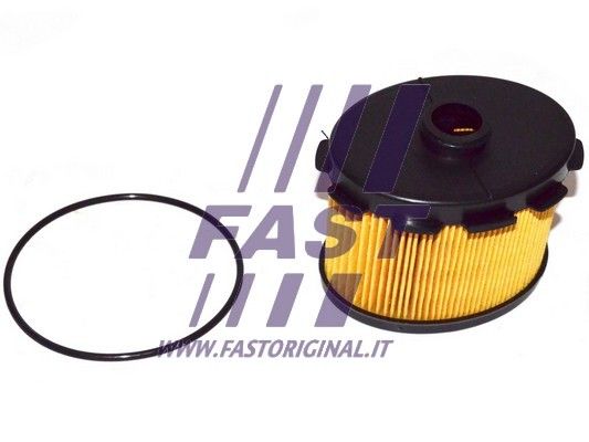 Fuel Filter FAST FT39078