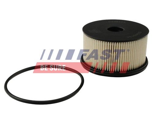 Fuel Filter FAST FT39113