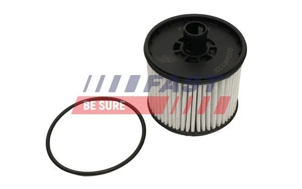 Kuro filtras FAST FT39123