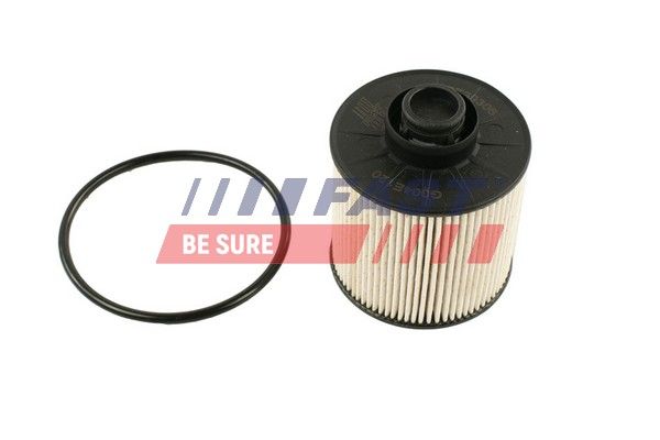 Fuel Filter FAST FT39306