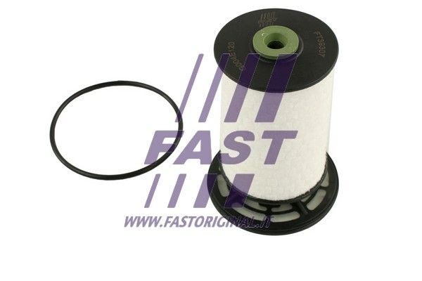 Fuel Filter FAST FT39307