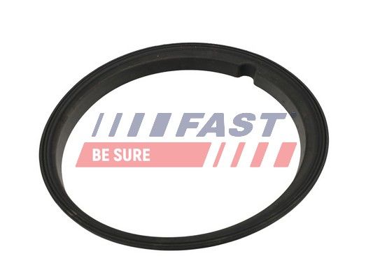 Ущільнення, датчик бака FAST FT48502