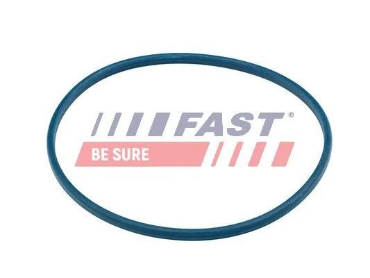 Sandariklis, užsukamas degalų dangtelis FAST FT48504