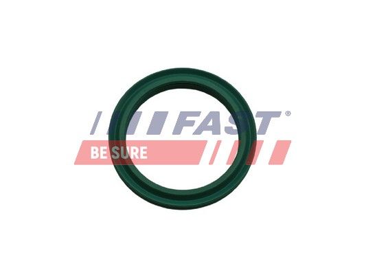 Seal Ring, charge air hose FAST FT48933