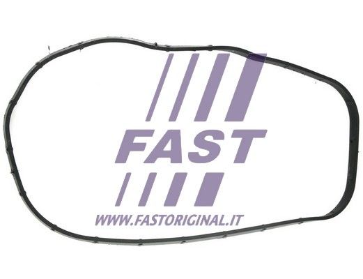 Gasket, timing case FAST FT49065