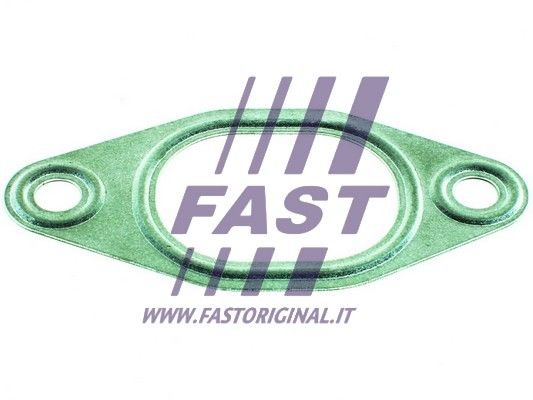 Tarpiklis, išleidimo kolektorius FAST FT49428