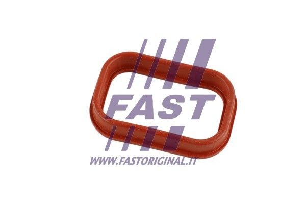 Tarpiklis, įsiurbimo kolektorius FAST FT49435