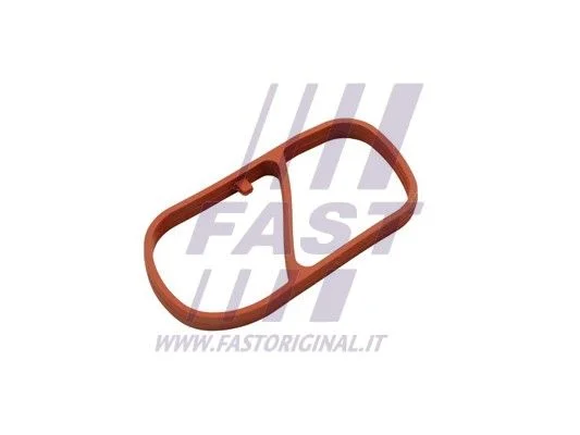 Tarpiklis, įsiurbimo kolektorius FAST FT49454