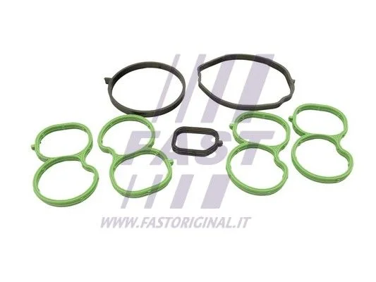 Tarpiklių rinkinys, įsiurbimo kolektorius FAST FT49455