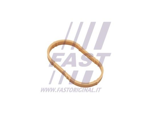 Gasket, intake manifold FAST FT49461