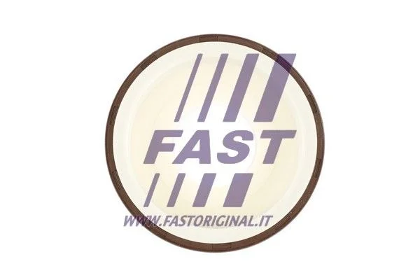 Veleno sandariklis, alkūninis velenas FAST FT49817