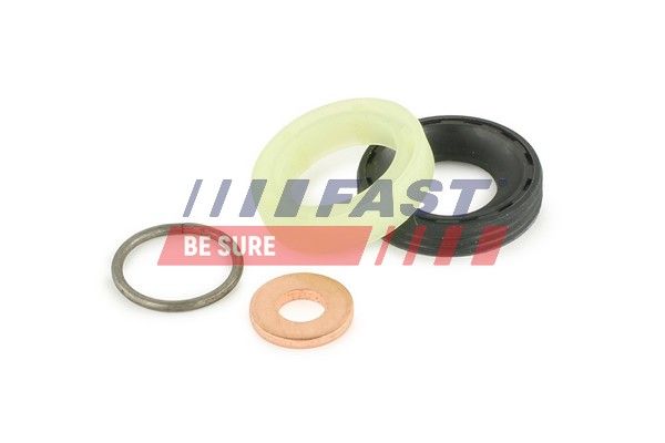 Seal Kit, injector nozzle FAST FT49842