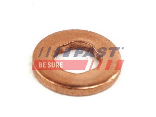 Seal Ring, nozzle holder FAST FT49846