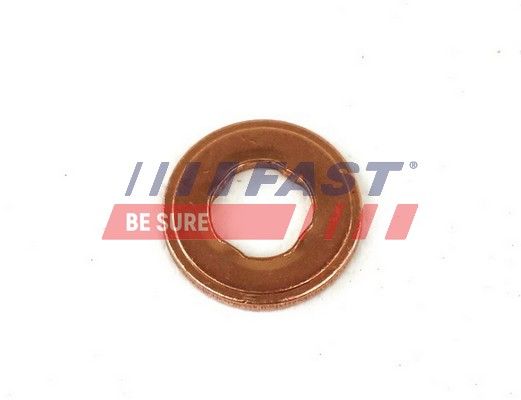 Seal Ring, nozzle holder FAST FT49847