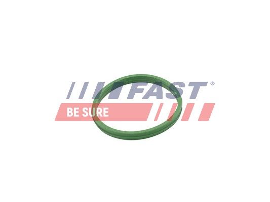 Seal Ring, oil drain plug FAST FT49855
