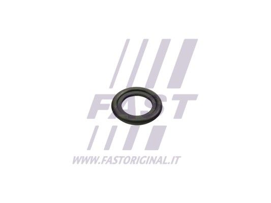 Seal Ring, oil drain plug FAST FT49860