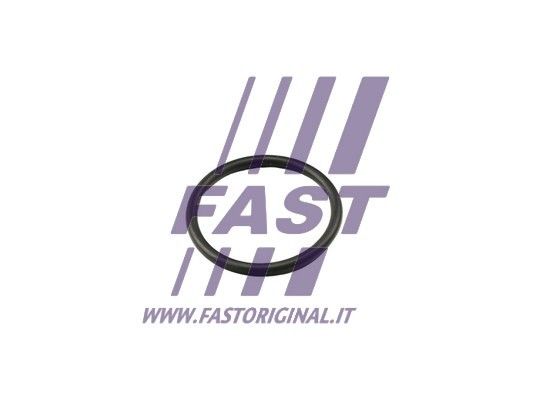 Seal, thermostat FAST FT49917