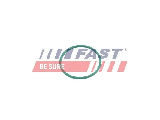 Seal Ring, charge air hose FAST FT49921