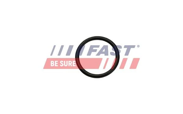 Tarpiklis, šildytuvo sklendės blokas FAST FT49926