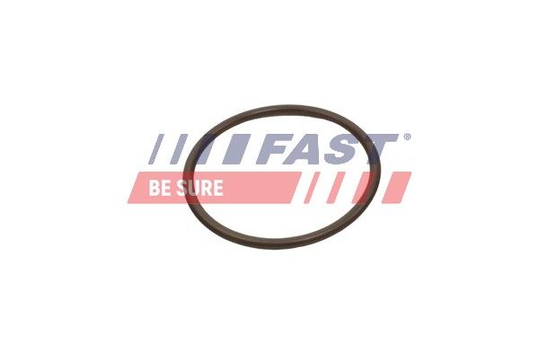 Ущільнювальне кільце, шланг подачі наддувального повітря FAST FT49933