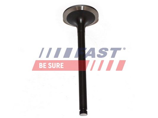 Intake Valve FAST FT50013