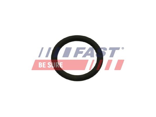 Gasket, EGR valve FAST FT50601