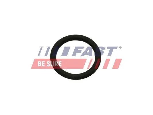 Gasket, EGR valve FAST FT50601
