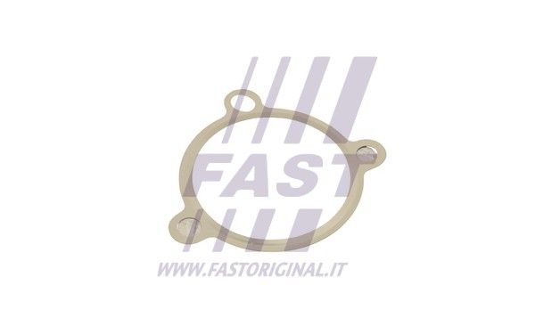 Gasket, EGR valve FAST FT50605