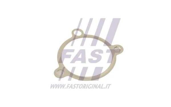 Tarpiklis, EGR vožtuvas FAST FT50605