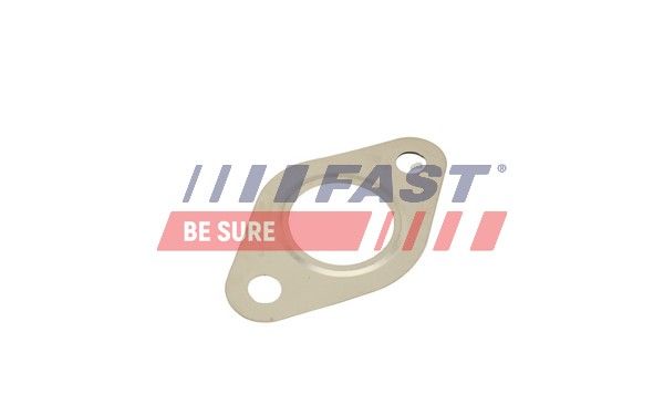 Gasket, EGR valve FAST FT50615