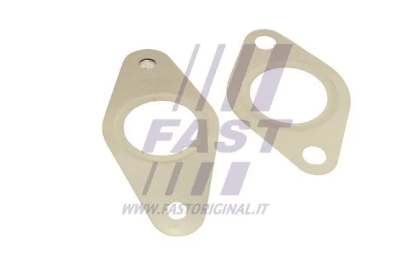 Tarpiklių rinkinys, AGR sistema FAST FT50621