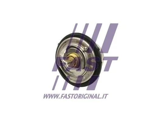 Termostatas, aušinimo skystis FAST FT58200