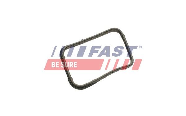 Seal, thermostat FAST FT58302