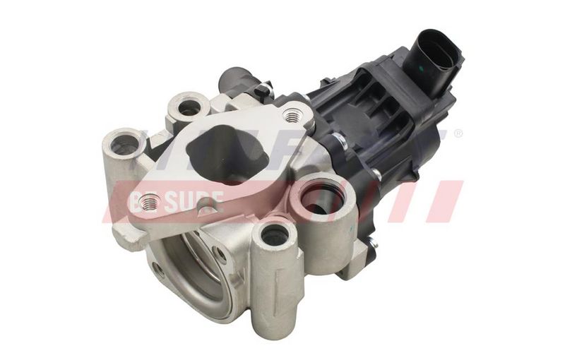 EGR Valve FAST FT60202