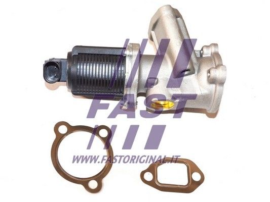 EGR Valve FAST FT60204