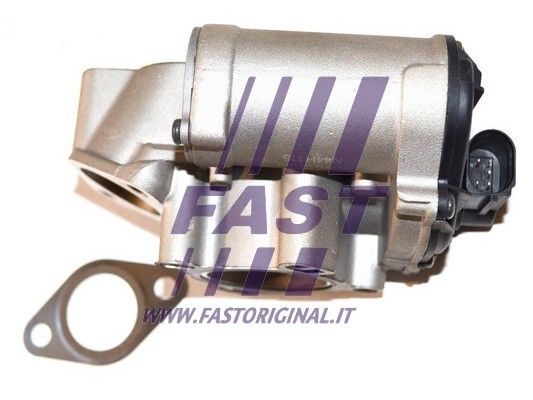 EGR Valve FAST FT60206