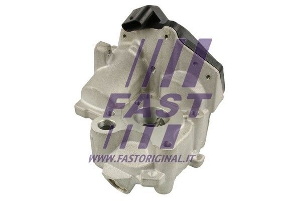 EGR Valve FAST FT60218